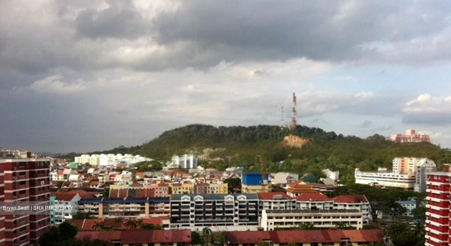 Blk 9 Toh Yi Gardens (Bukit Timah), HDB 4 Rooms #449173841